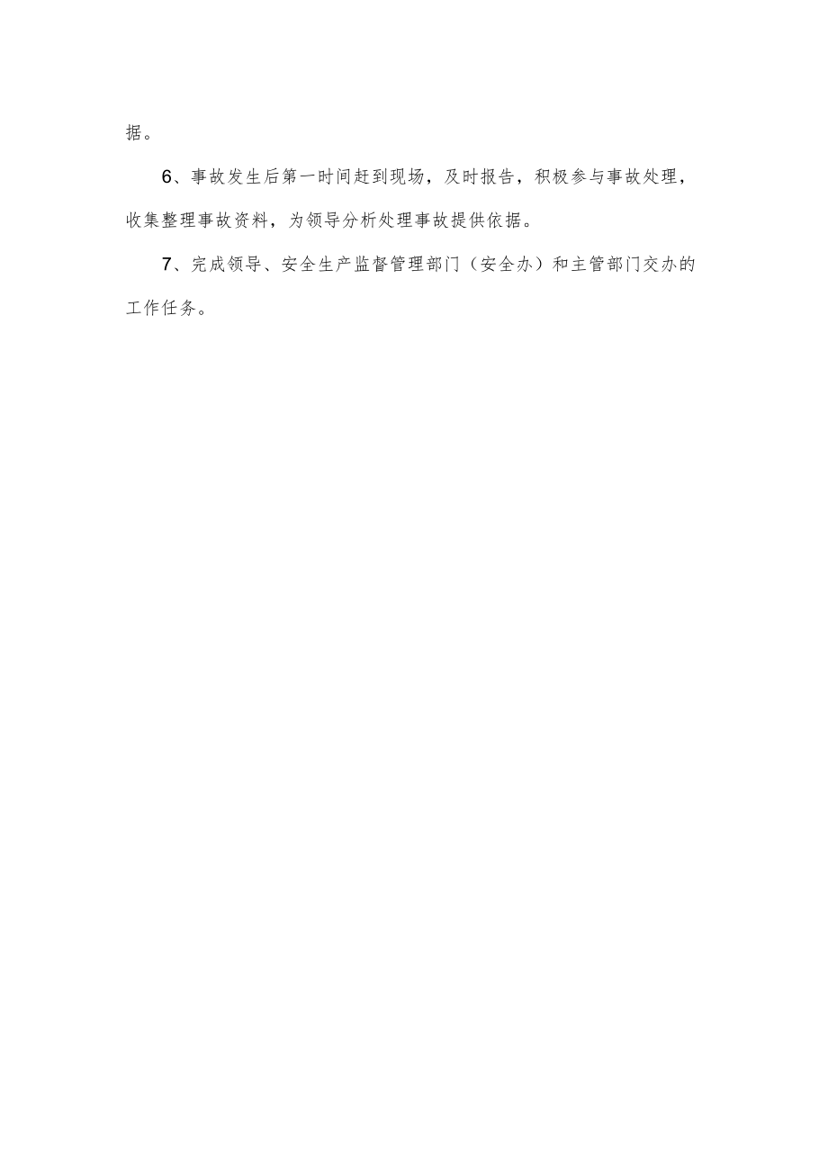 公司责任人职责.docx_第3页