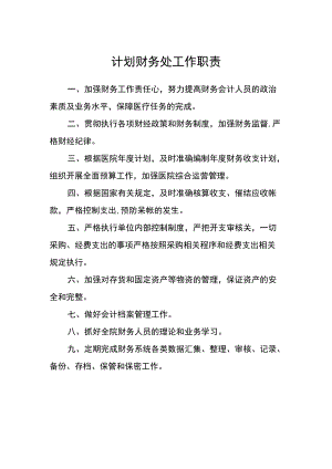 医院计划财务处工作职责.docx