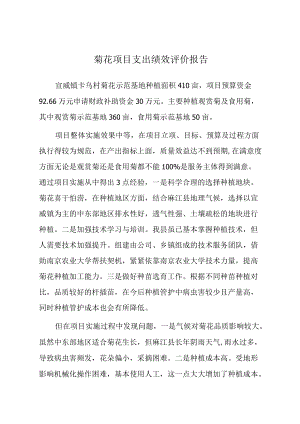 菊花项目支出绩效评价报告.docx