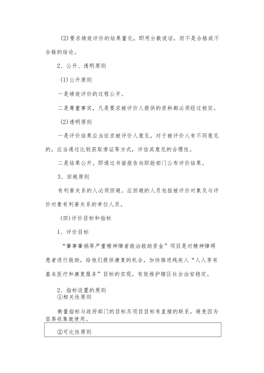 项目资金绩效评价报告.docx_第3页