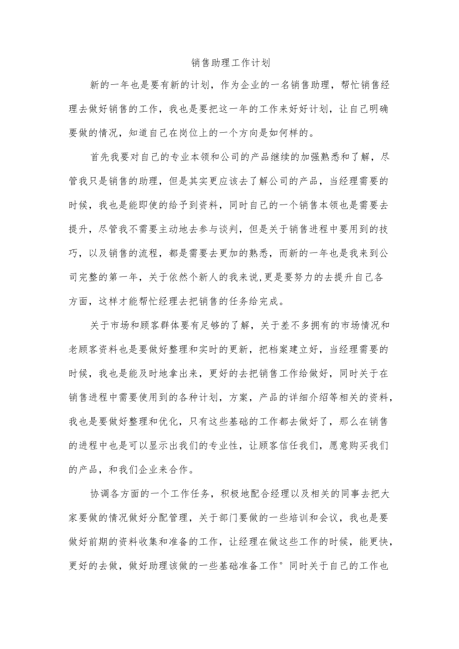 销售助理工作计划.docx_第1页