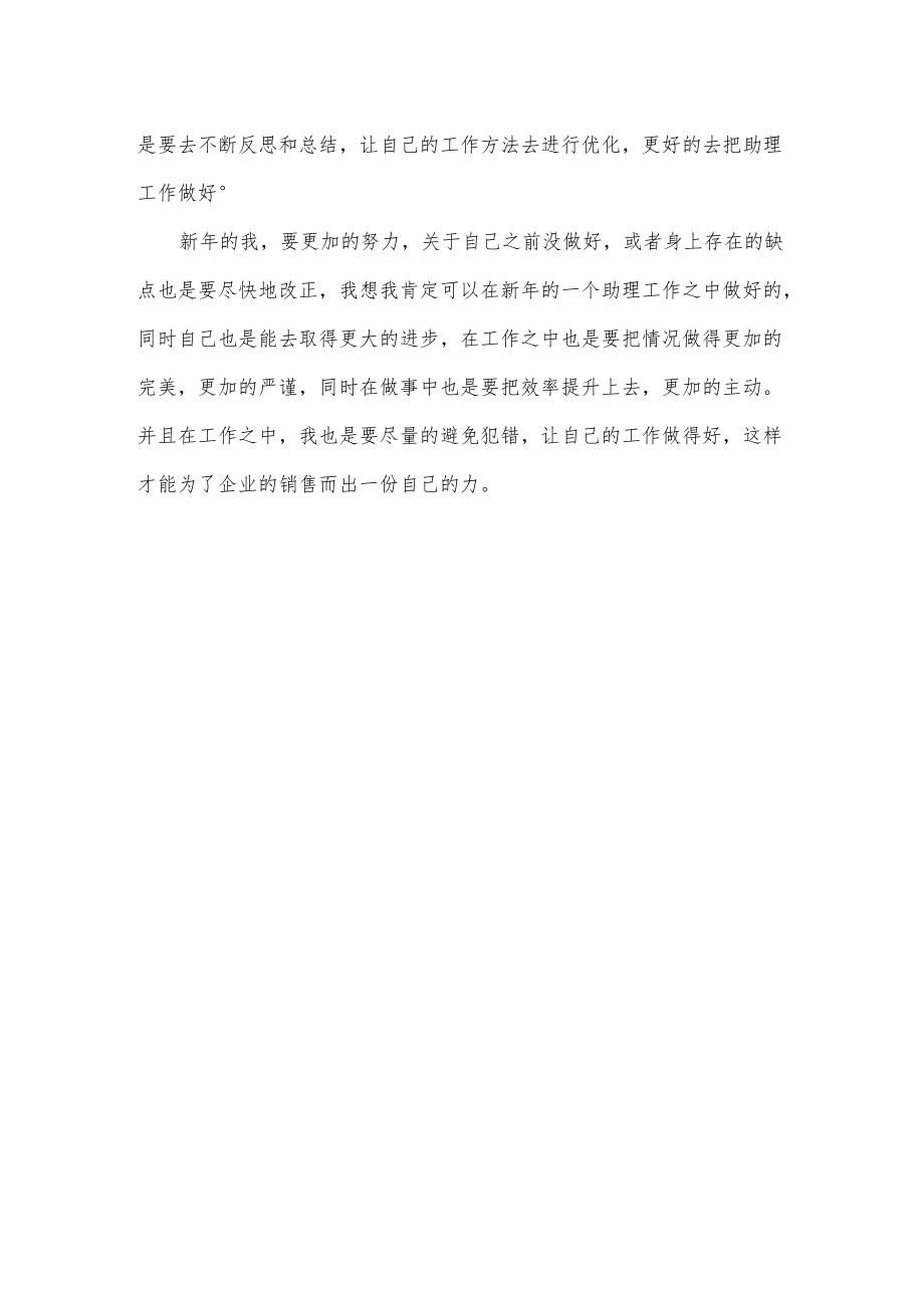 销售助理工作计划.docx_第2页