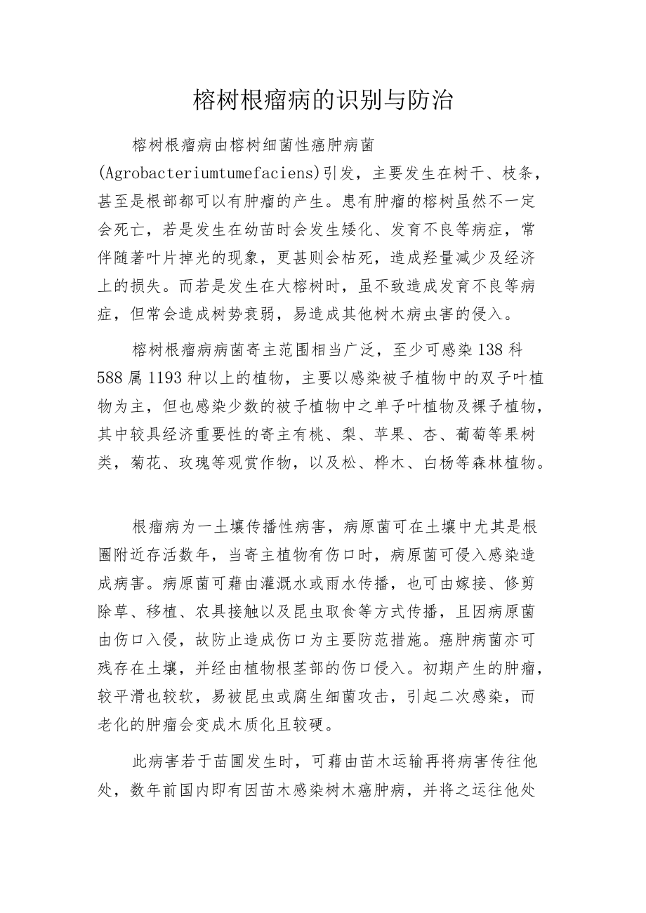 榕树根瘤病的识别与防治.docx_第1页