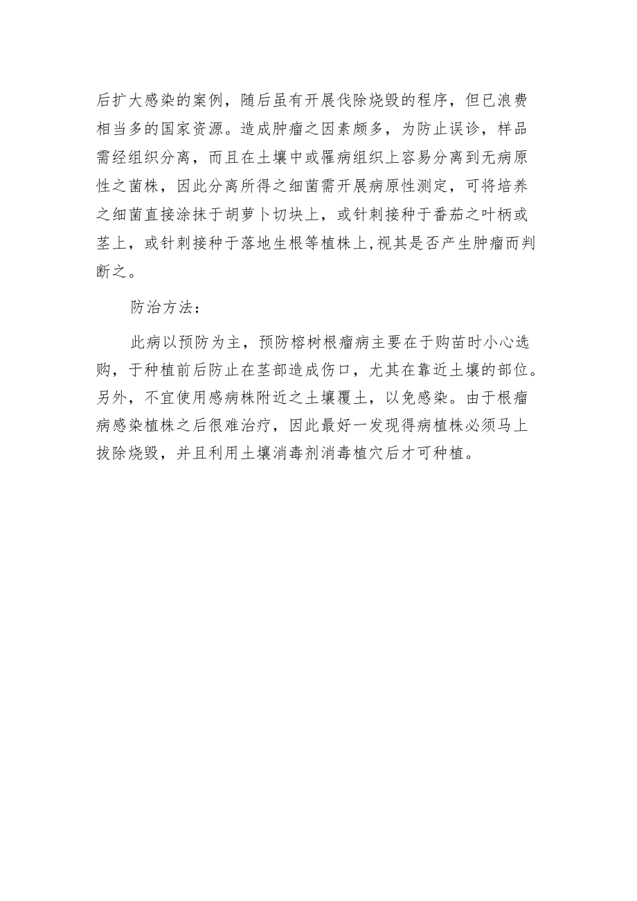 榕树根瘤病的识别与防治.docx_第2页