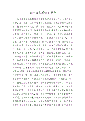 榆叶梅春季管护要点.docx