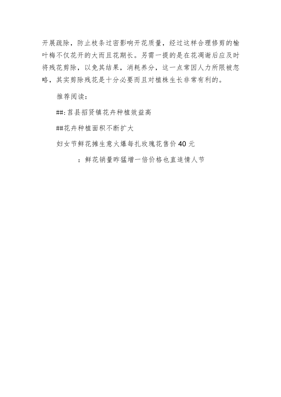 榆叶梅春季管护要点.docx_第2页