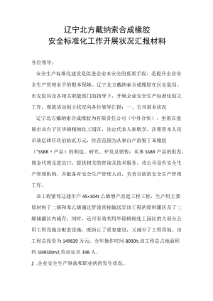 安全标准化汇报材料.docx