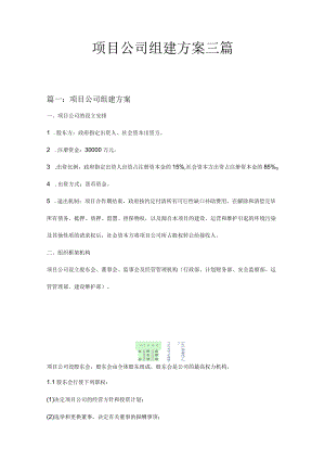 项目公司组建方案三篇.docx