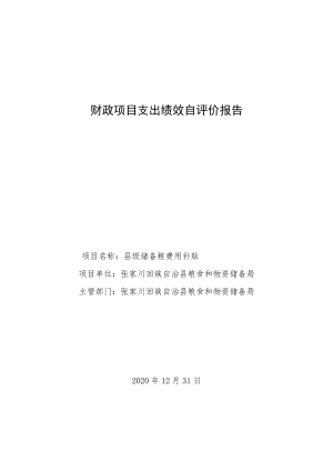 财政项目支出绩效自评价报告.docx