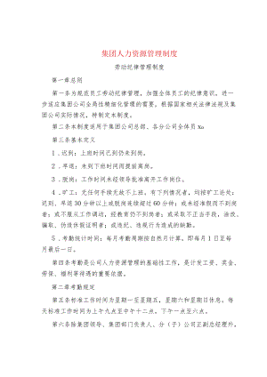 集团人力资源管理制度.docx