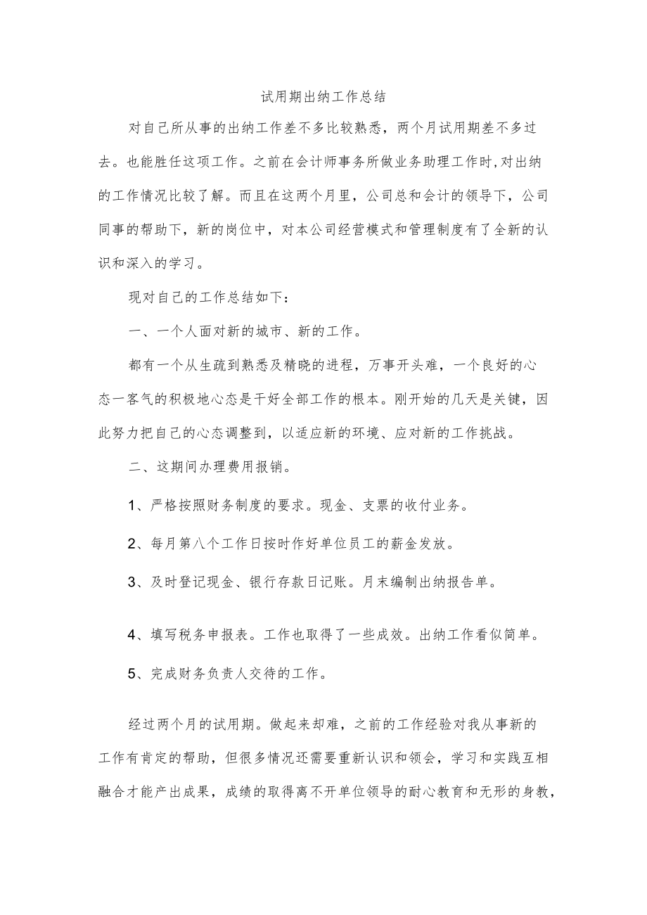 试用期出纳工作总结.docx_第1页