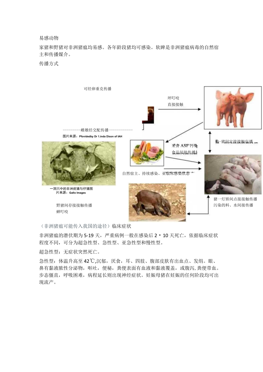 非洲猪瘟防控科普知识.docx_第2页