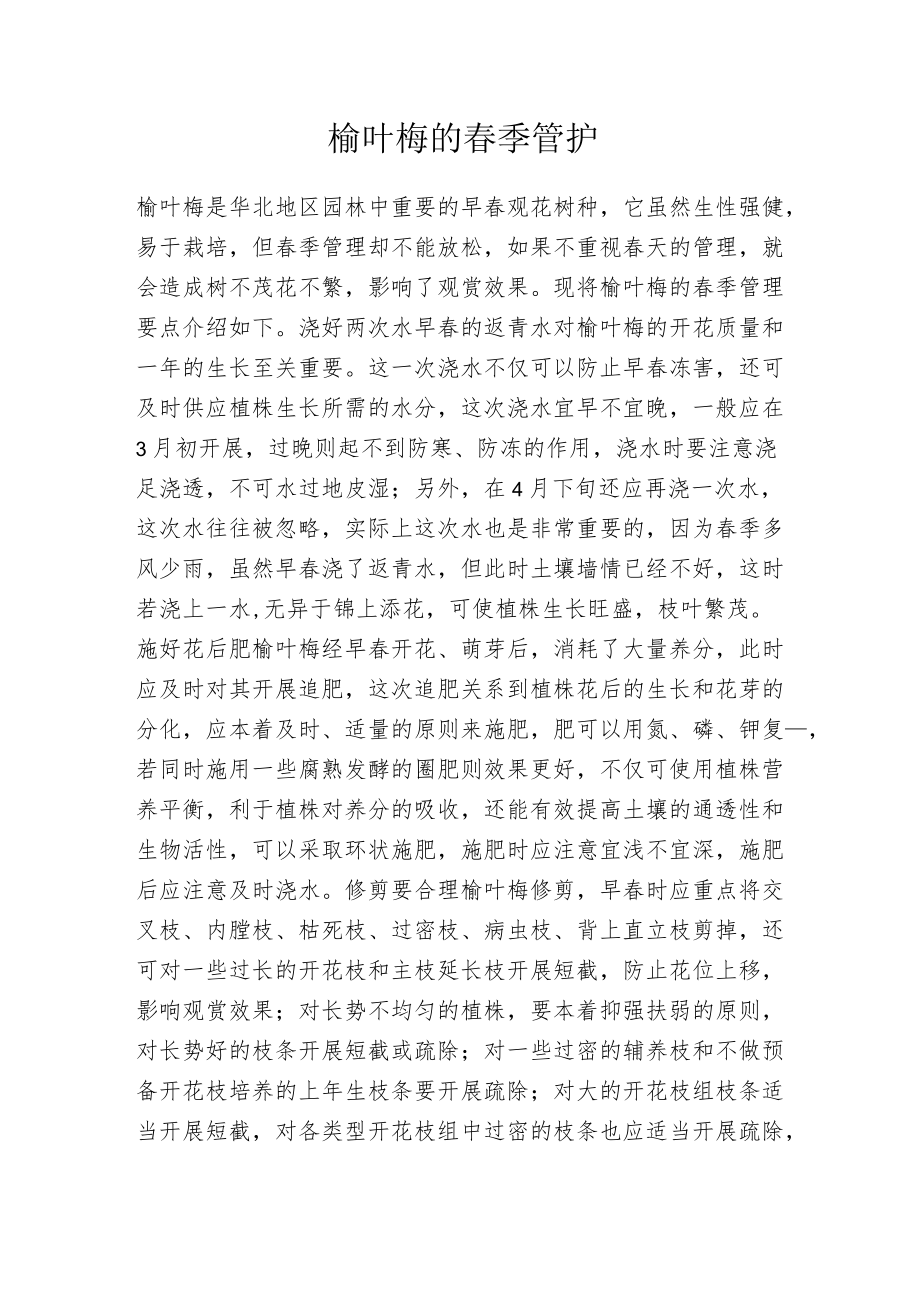 榆叶梅的春季管护.docx_第1页