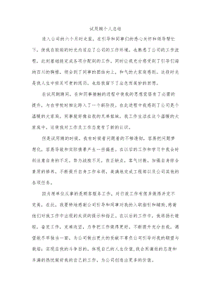 试用期个人总结.docx