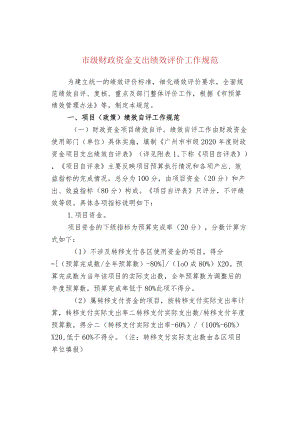 市级财政资金支出绩效评价工作规范.docx