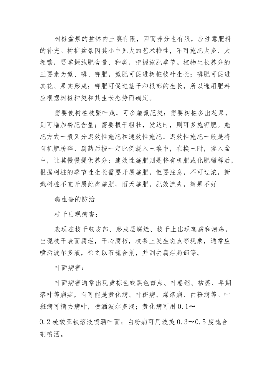 榕树盆景的栽培与养护.docx_第2页