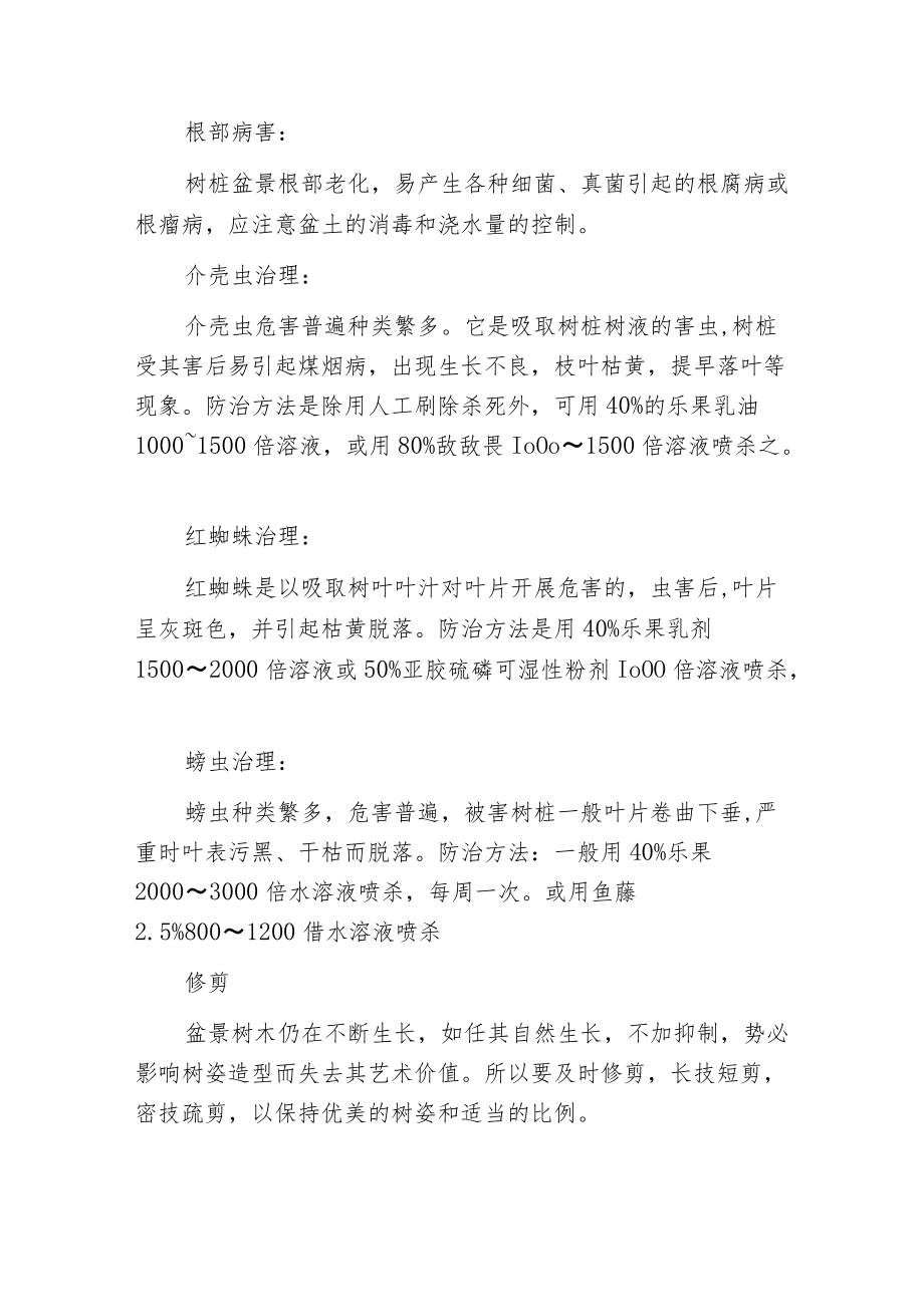 榕树盆景的栽培与养护.docx_第3页