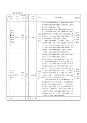 资产包明细表.docx