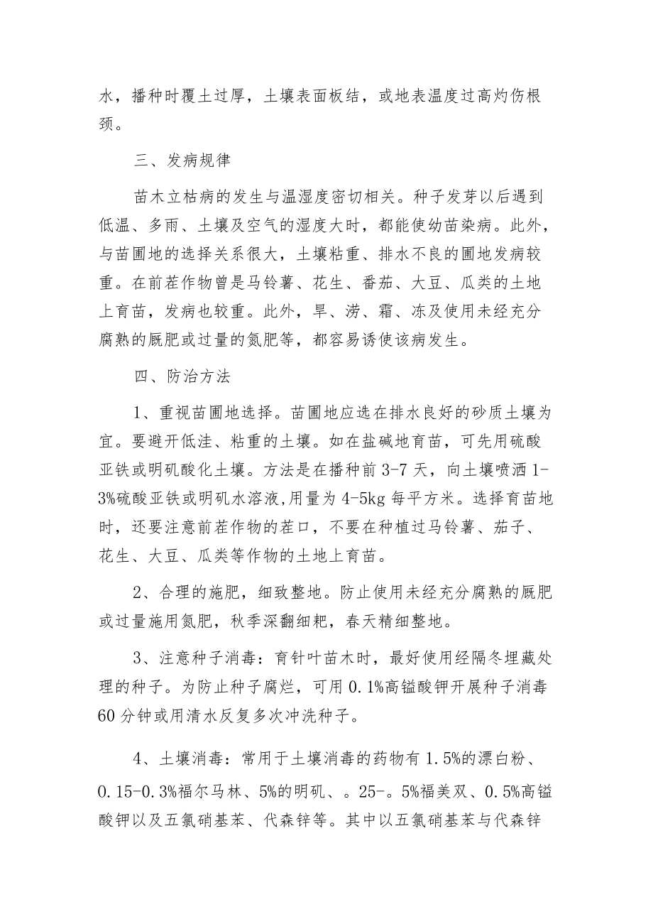 松苗立枯病的识别与防治.docx_第2页