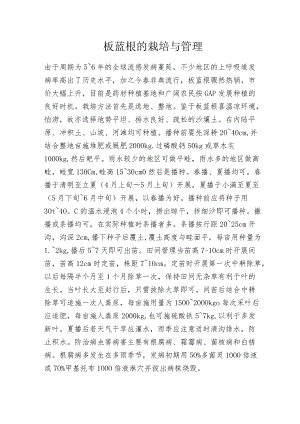 板蓝根的栽培与管理.docx