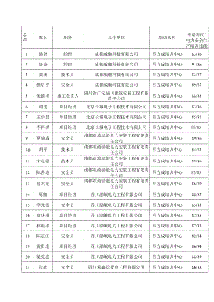 理论考试电力安全生产培训技能.docx