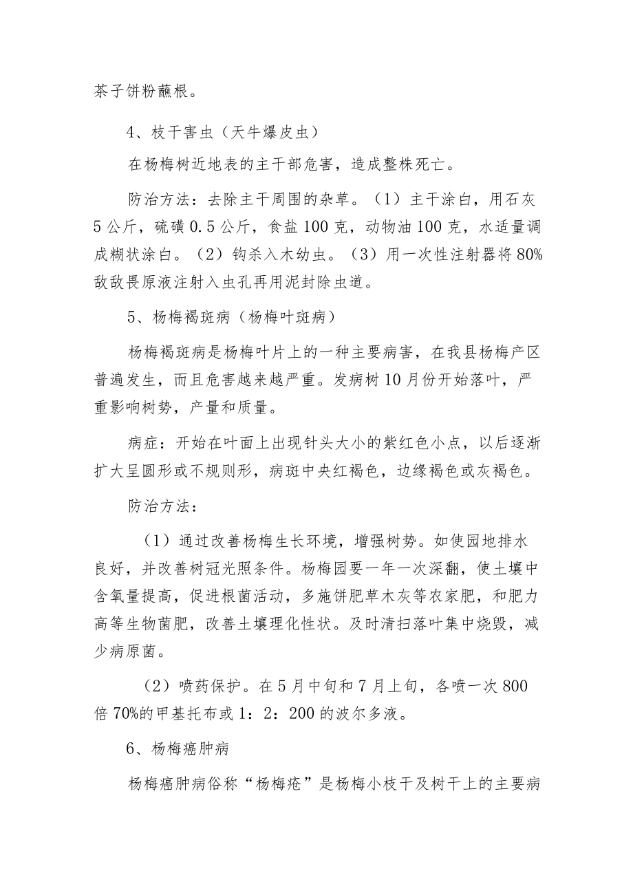 杨梅常见病虫害的防治.docx_第2页