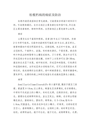 松根朽病的病症及防治.docx