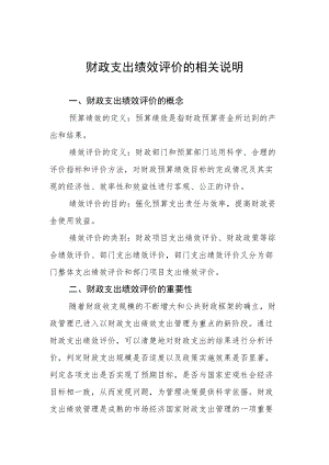 财政支出绩效评价的相关说明.docx