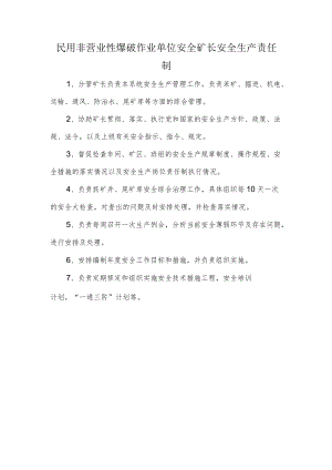 民用非营业性爆破作业单位安全矿长安全生产责任制.docx