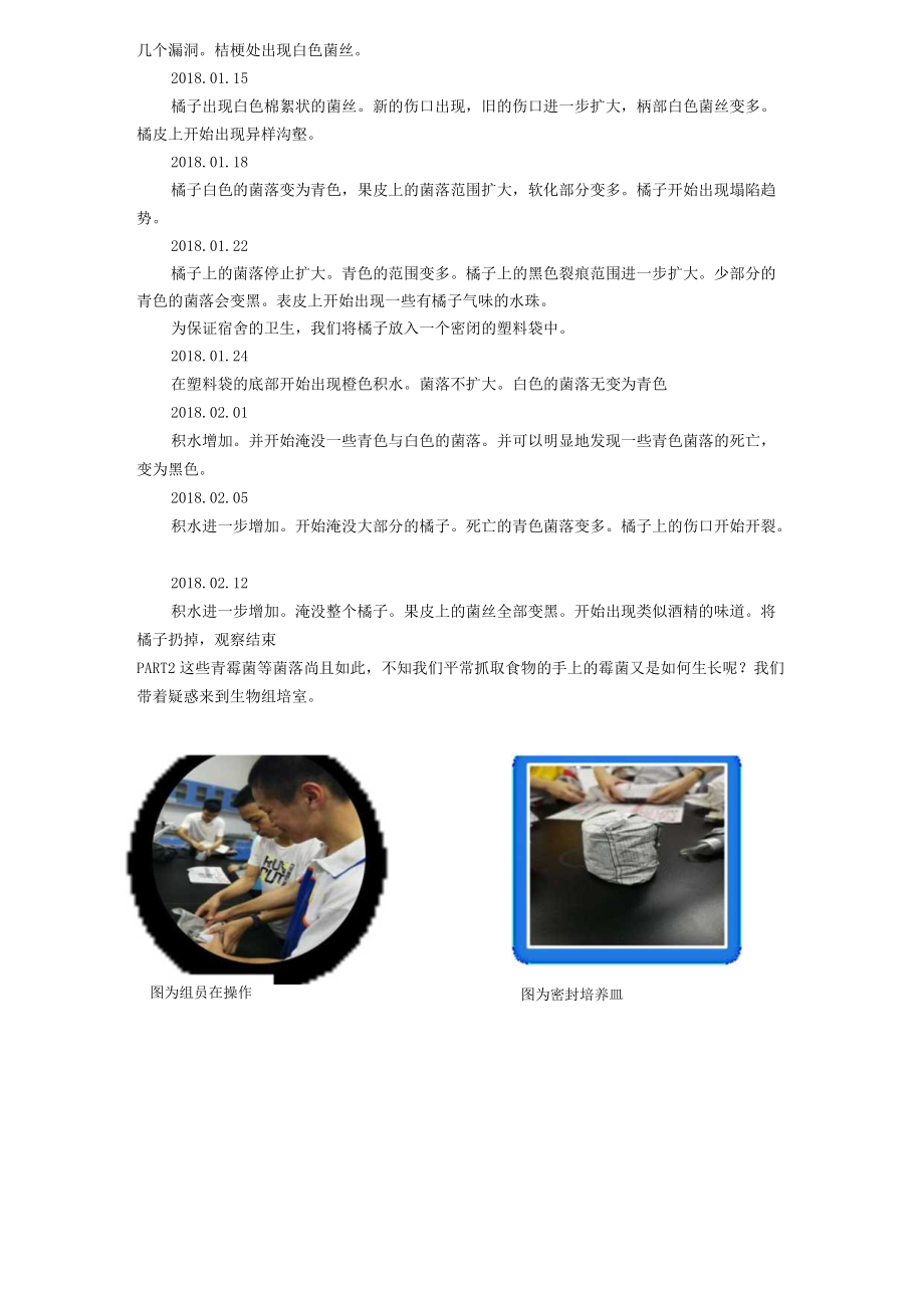 食物中真菌性质的研究.docx_第3页