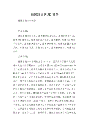 德国路德RUD链条.docx