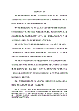 项目绩效自评目的.docx