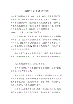 榕树的无土栽培技术.docx