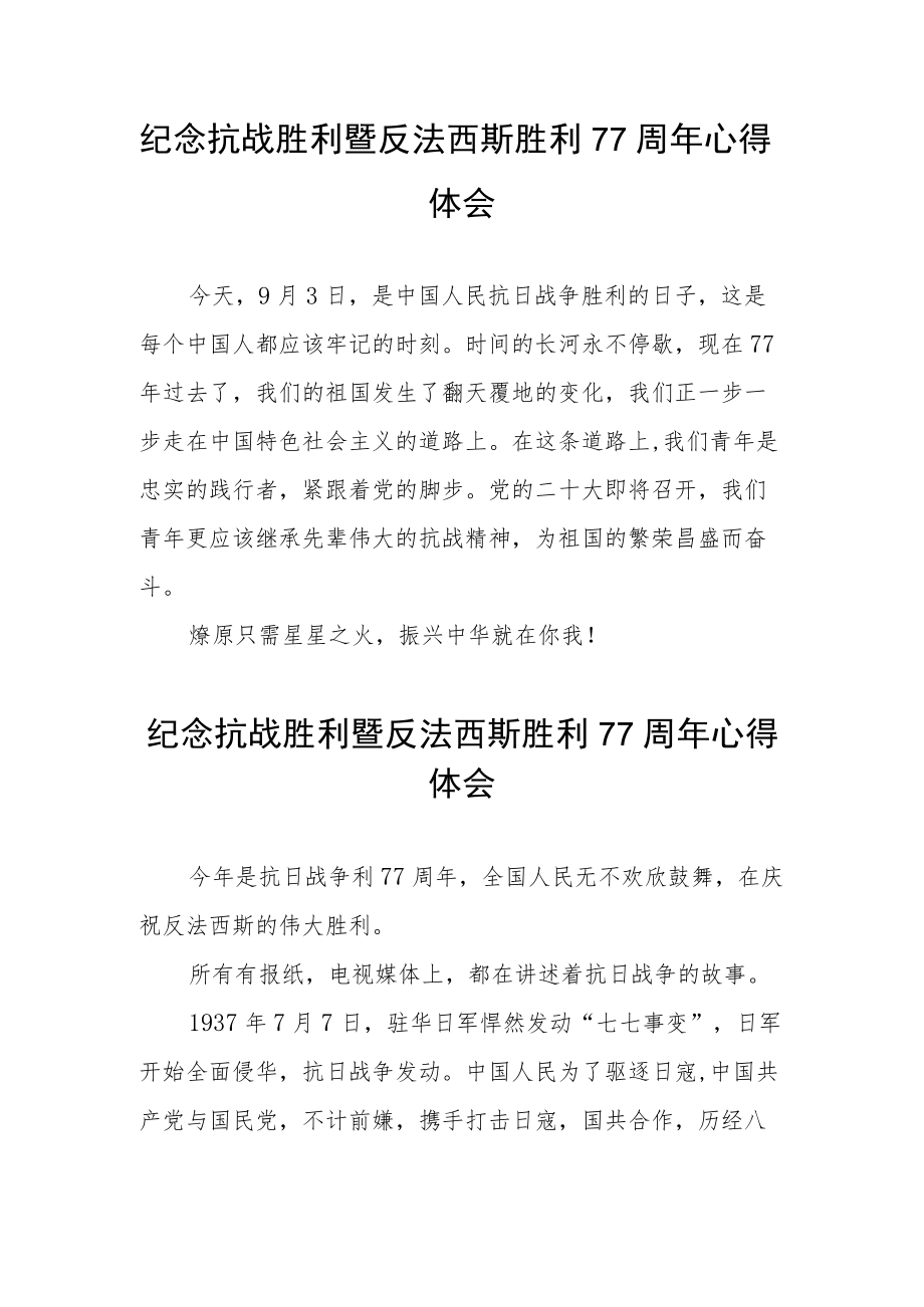 民营企业开展纪念抗战胜利暨反法西斯胜利77周年心得体会汇编3份.docx_第2页