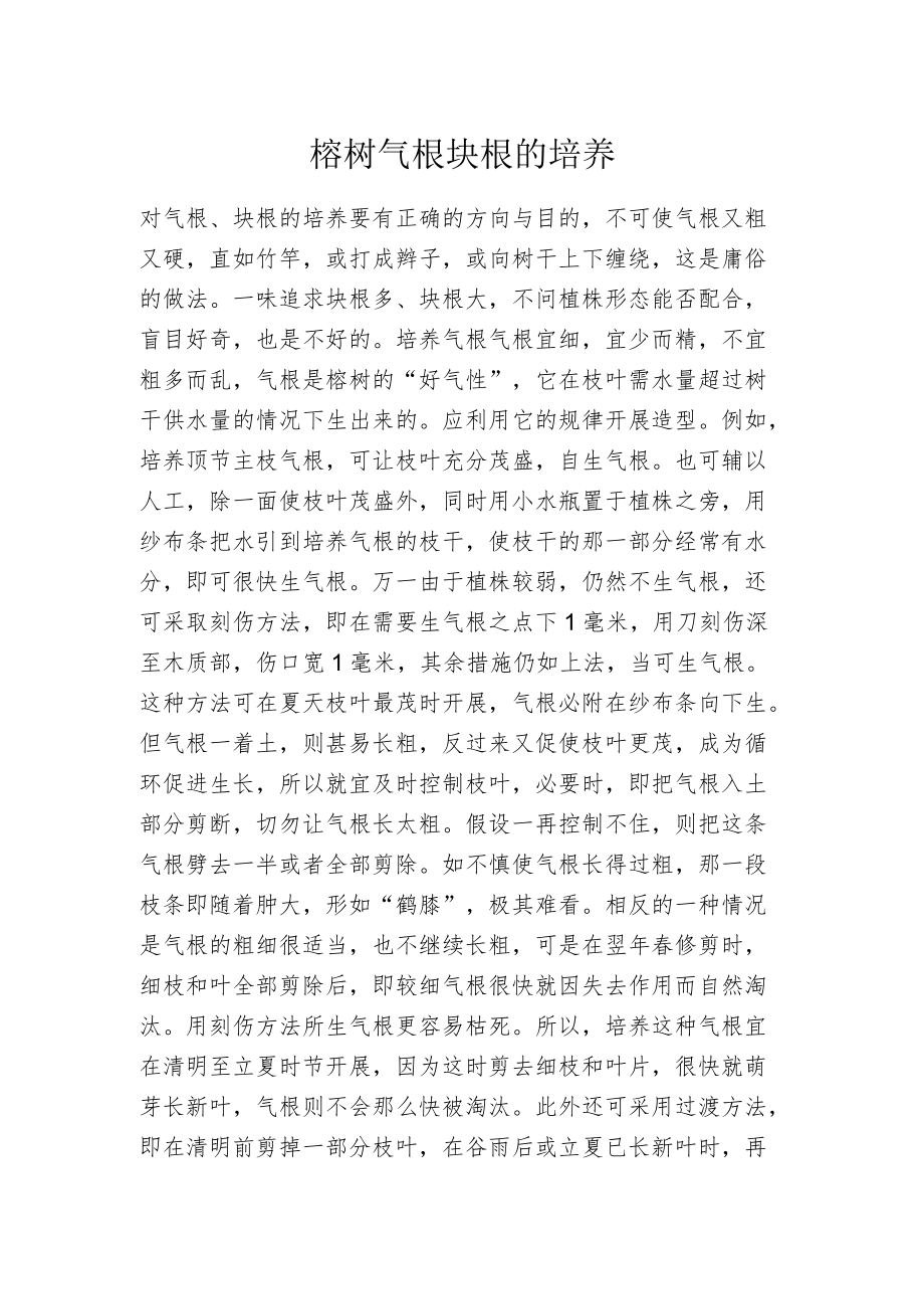 榕树气根块根的培养.docx_第1页