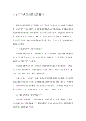 人才工作典型经验交流材料 .docx