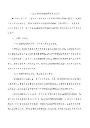 司法法治政府建设情况报告总结.docx