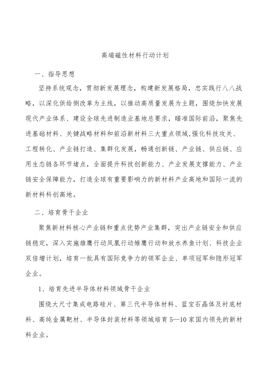 高端磁性材料行动计划.docx_第1页