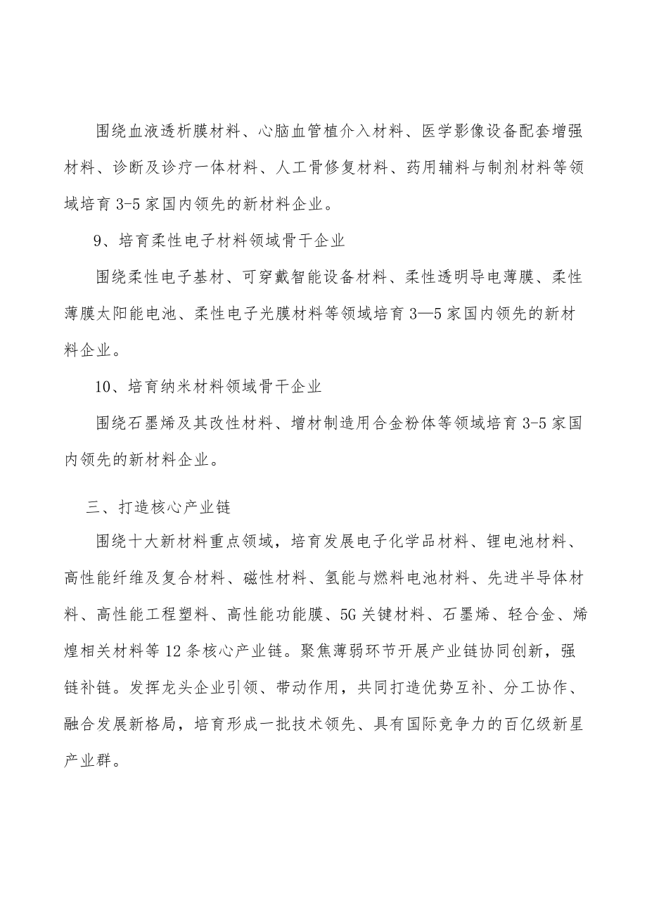 高端磁性材料行动计划.docx_第3页