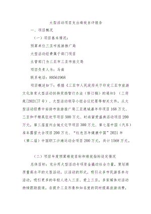 大型活动项目支出绩效自评报告.docx