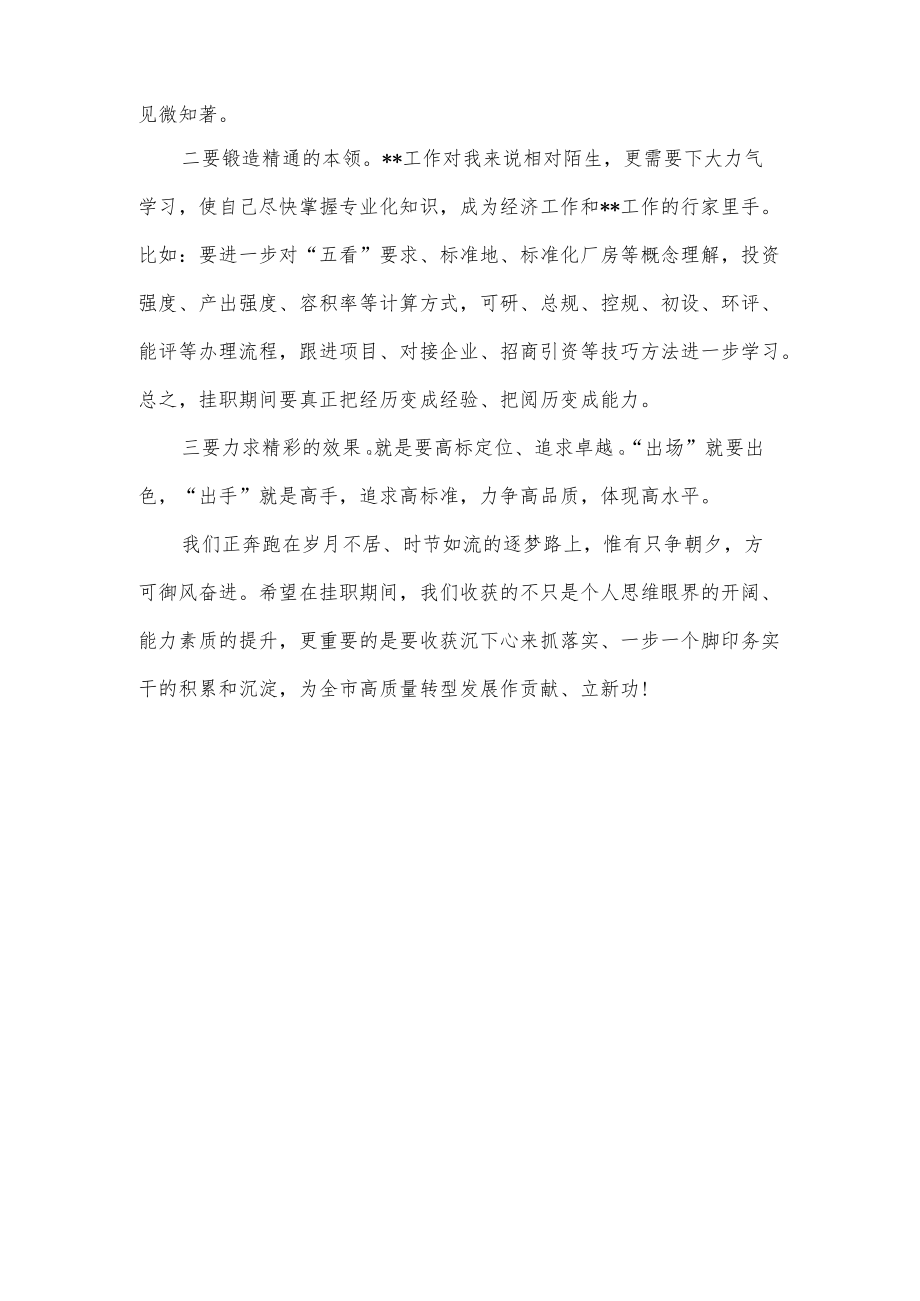 挂职干部座谈会经验交流发言材料_2.docx_第3页