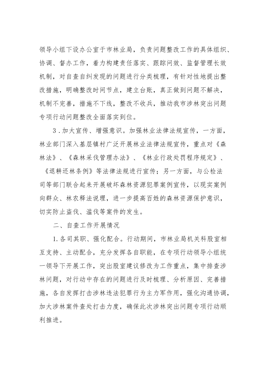 XX市涉林突出问题专项整治行动自查情况汇报.docx_第2页