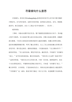 寻章摘句什么意思.docx