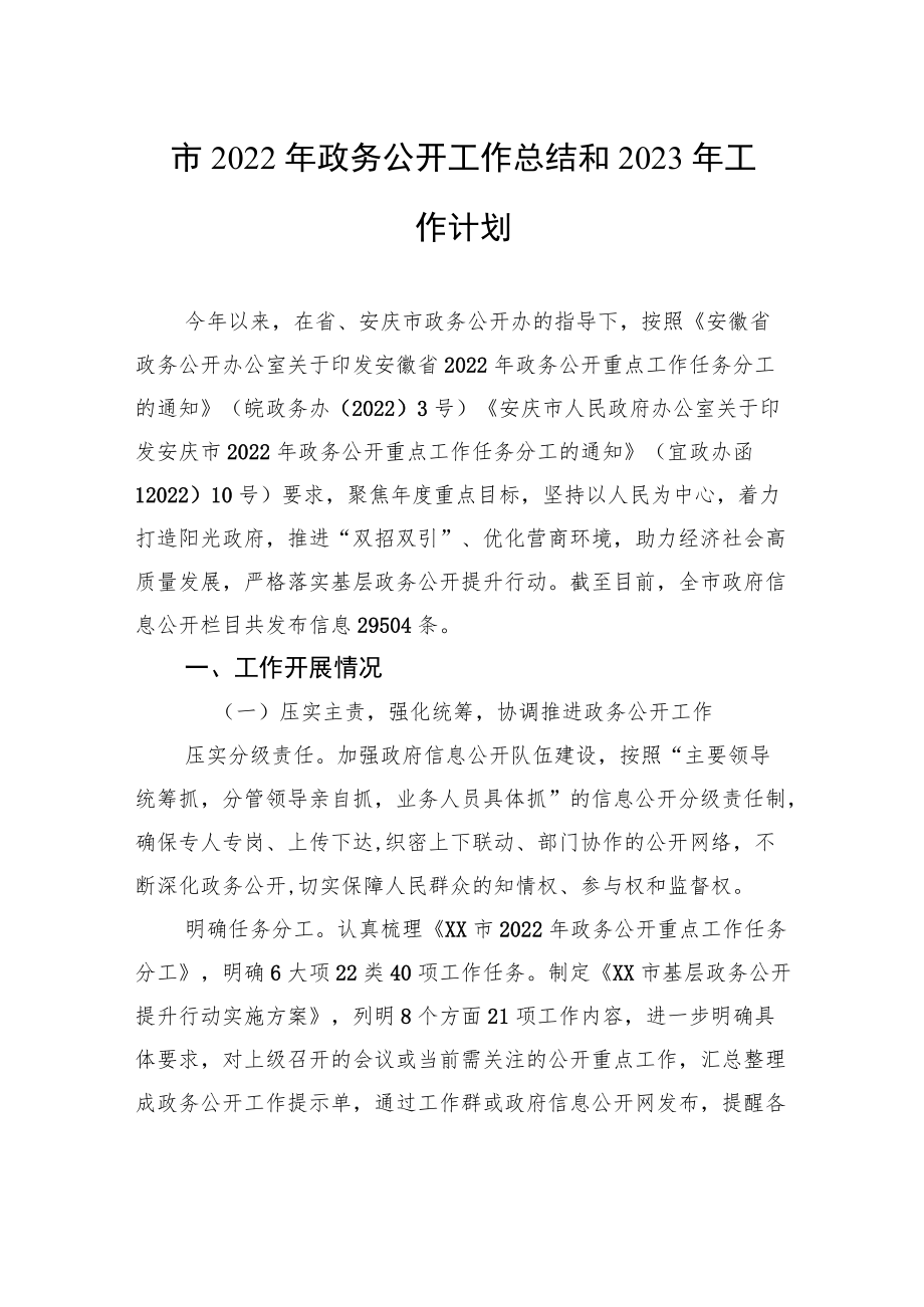 市2022年政务公开工作总结和2023年工作计划.docx_第1页