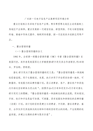 广东新一代电子信息产业集群项目环境分析.docx