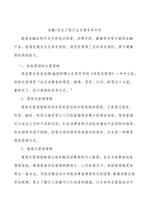 金融+民生工程行业发展条件分析.docx