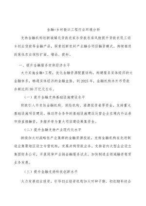 金融+乡村振兴工程行业环境分析.docx