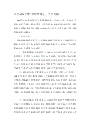 市水利局2022年度政务公开工作总结.docx