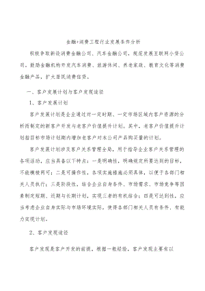 金融+消费工程行业发展条件分析.docx