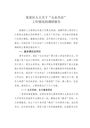 某某区人大关于“五水共治”工作情况的调研报告.docx